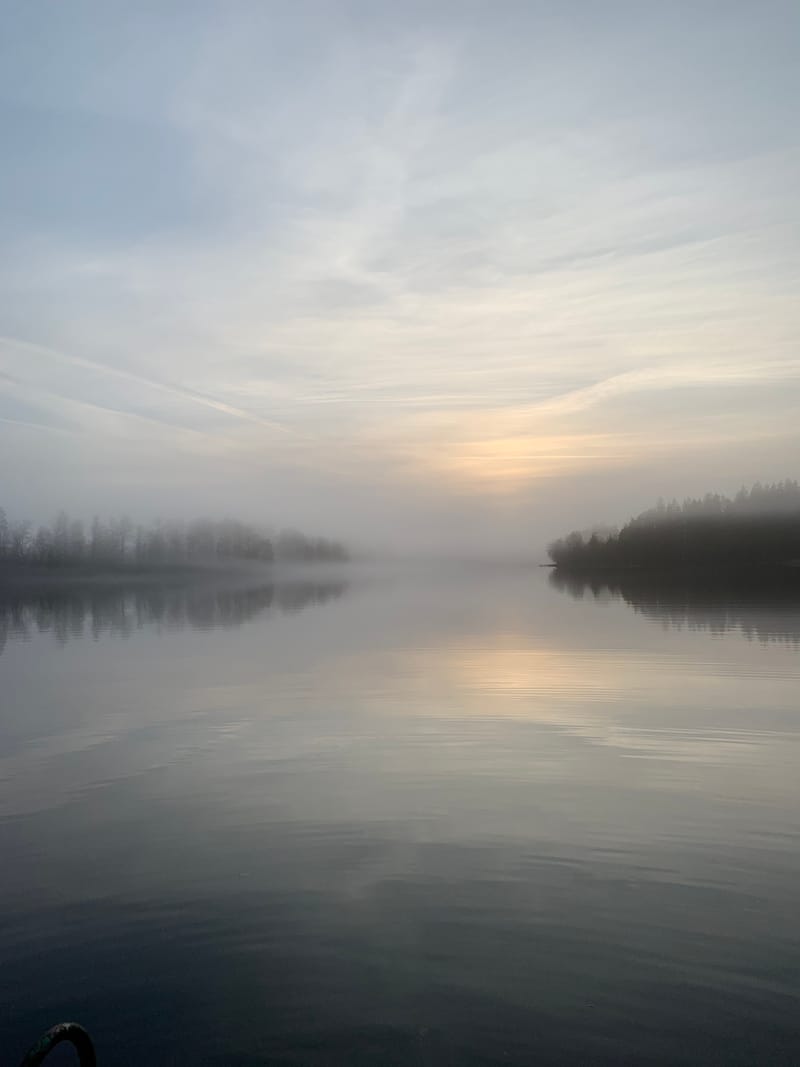 Morgendis over den stille sø med skovbryn i det fjerne