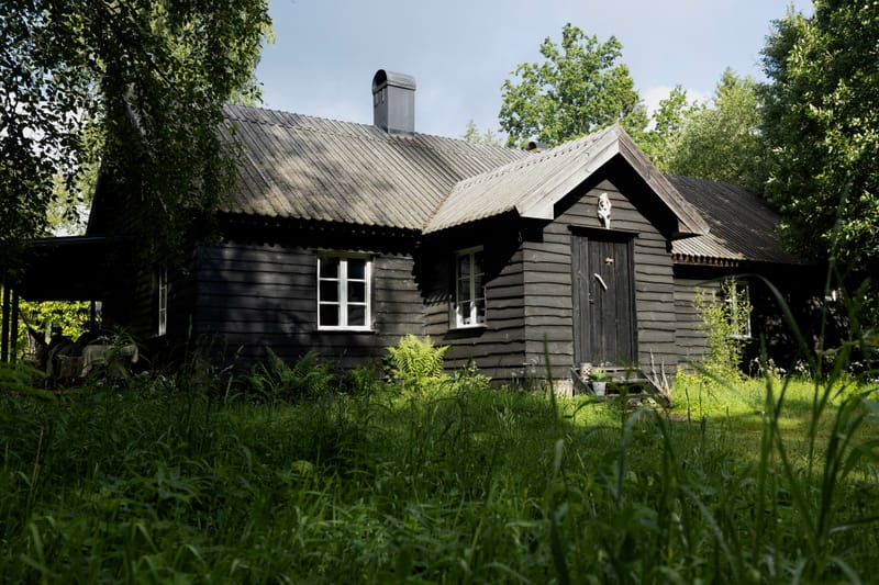 Det sorte hovedhus med hvide vinduer i højt sommergræs