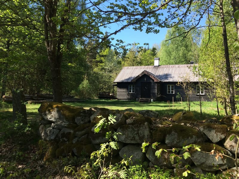 Hovedhuset bag det gamle stengærde en solrig forårsdag