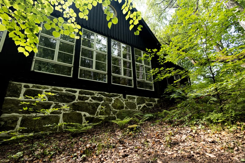 Hovedhusets vinduesrække over en kampestensmur, set gennem løvet