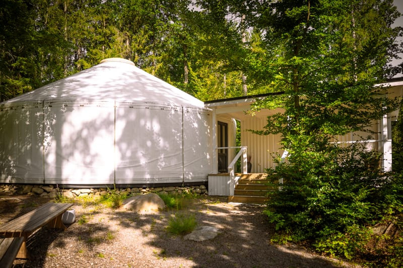 Jurten med trappe og terrasse i den grønne skov