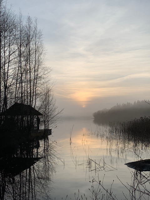 Morgendis over den stille skovsø med pavillon ved bredden